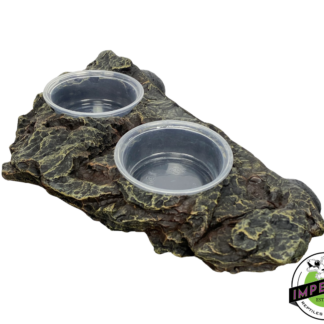Komodo Magnetic Dual Gecko Feeding Ledge