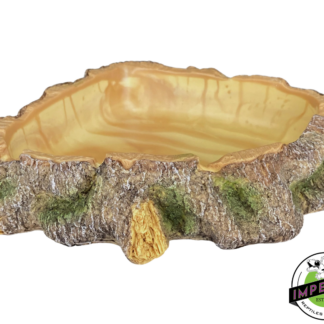 Komodo Polyresin Wood Bowl