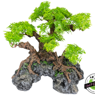 Komodo Bonsai Tree w/ Hide 18 IN