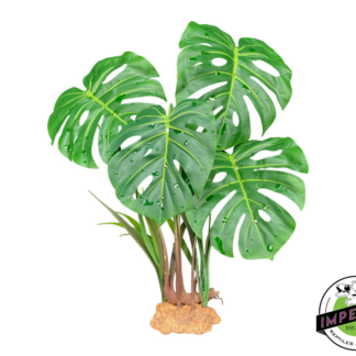 Komodo Standing Plant Monstera Leaf 18 IN