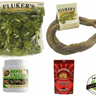 New Caledonia Gecko Habitat Kit