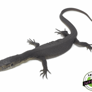 Mertens Water Monitor