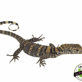 Sulfur Water Monitor